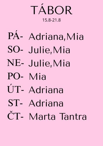 JULIE:SO(23h)-NE 16-17.8.